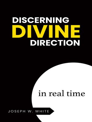 cover image of Discerning Divine Direction in Real Time